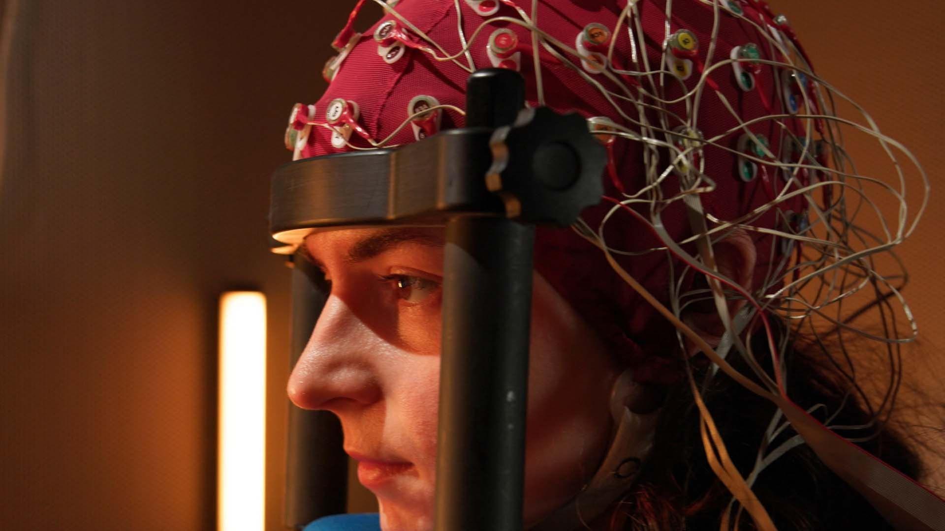 Wie unser Gehirn uns austrickst (1/2) - Mein Hirn und ich