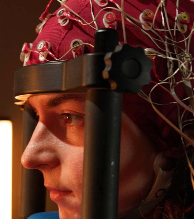 Wie unser Gehirn uns austrickst (1/2) - Mein Hirn und ich