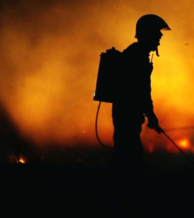 Wie viel Feuer braucht die Erde? - 42 - Die Antwort auf fast alles