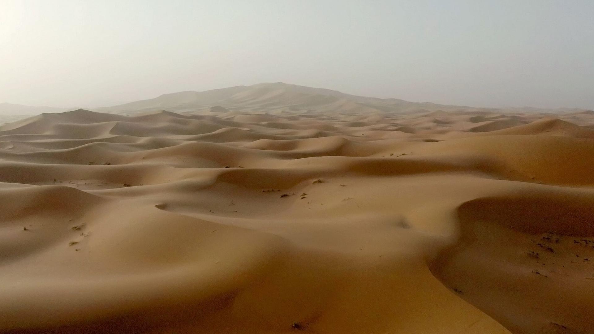 Wildes Marokko - Der goldene Süden