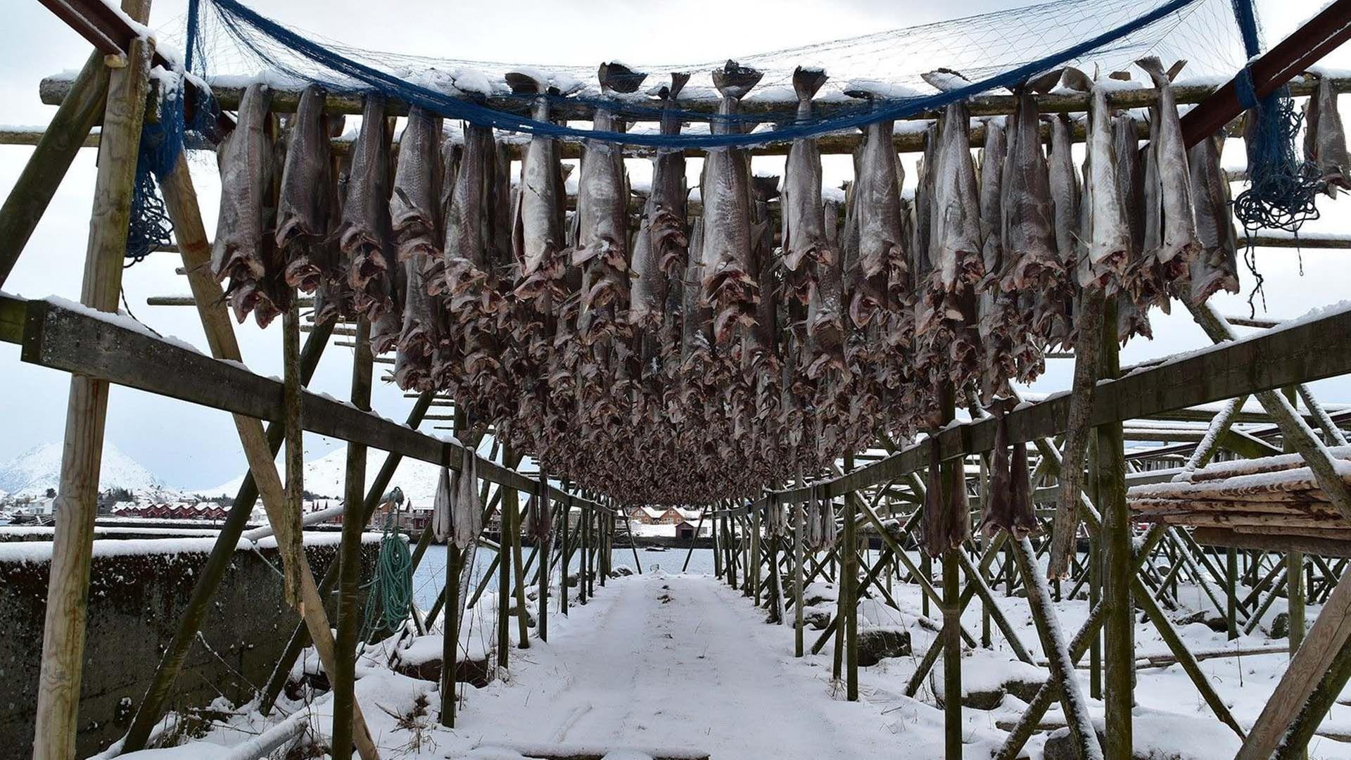 Zu Tisch - Lofoten, Norwegen