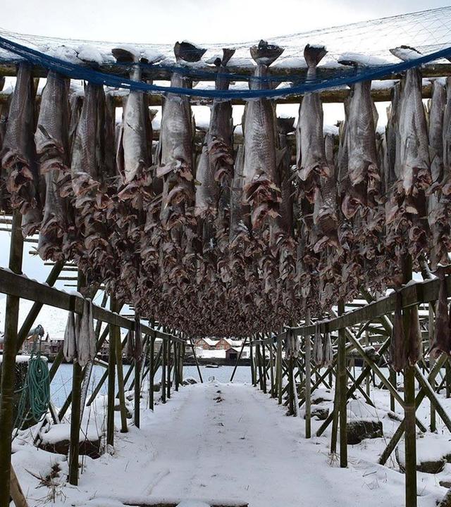 Zu Tisch - Lofoten, Norwegen