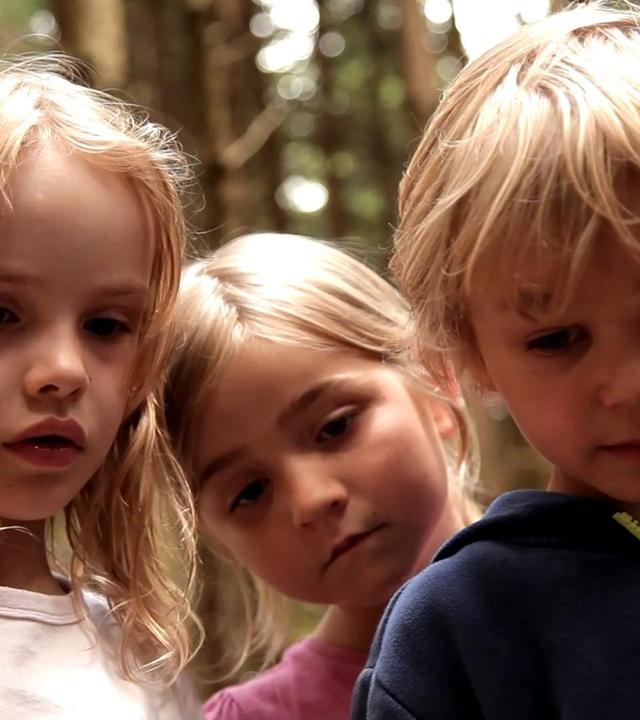 1. Wir fahren Traktor