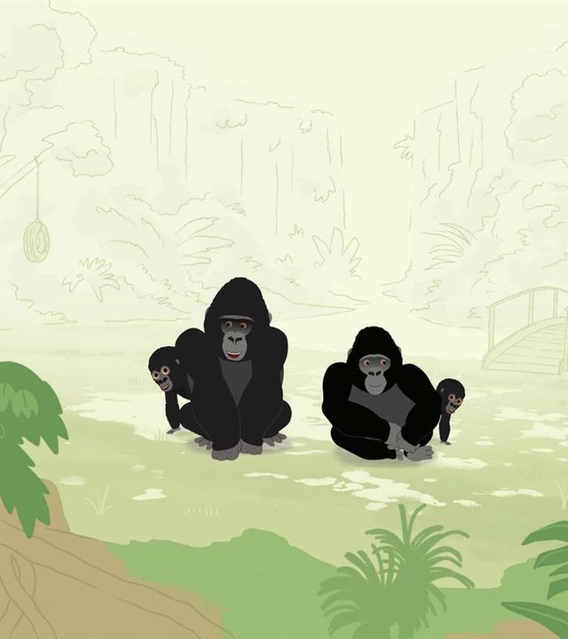 17. Ein neues Zuhause für die Gorillas