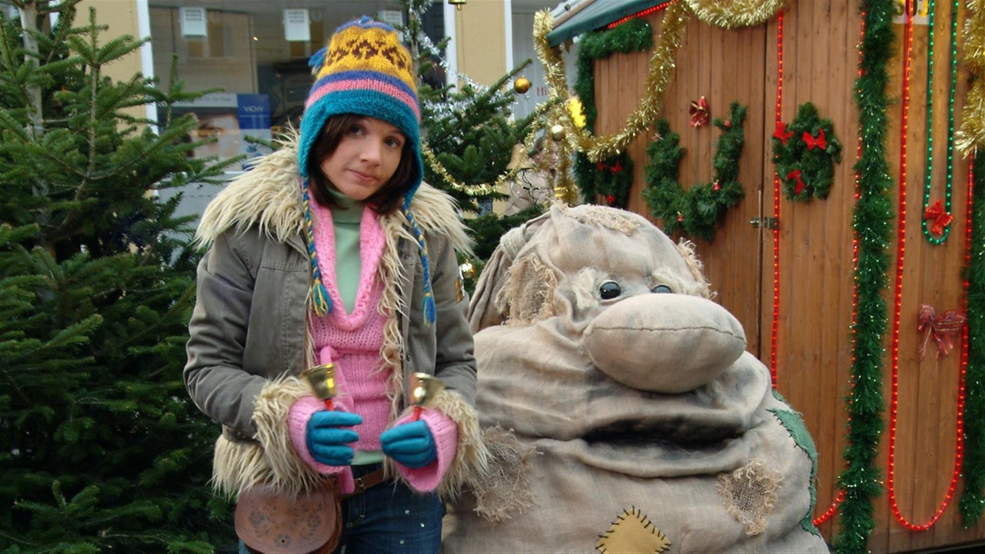 17. S.O.S. Weihnachtsgans