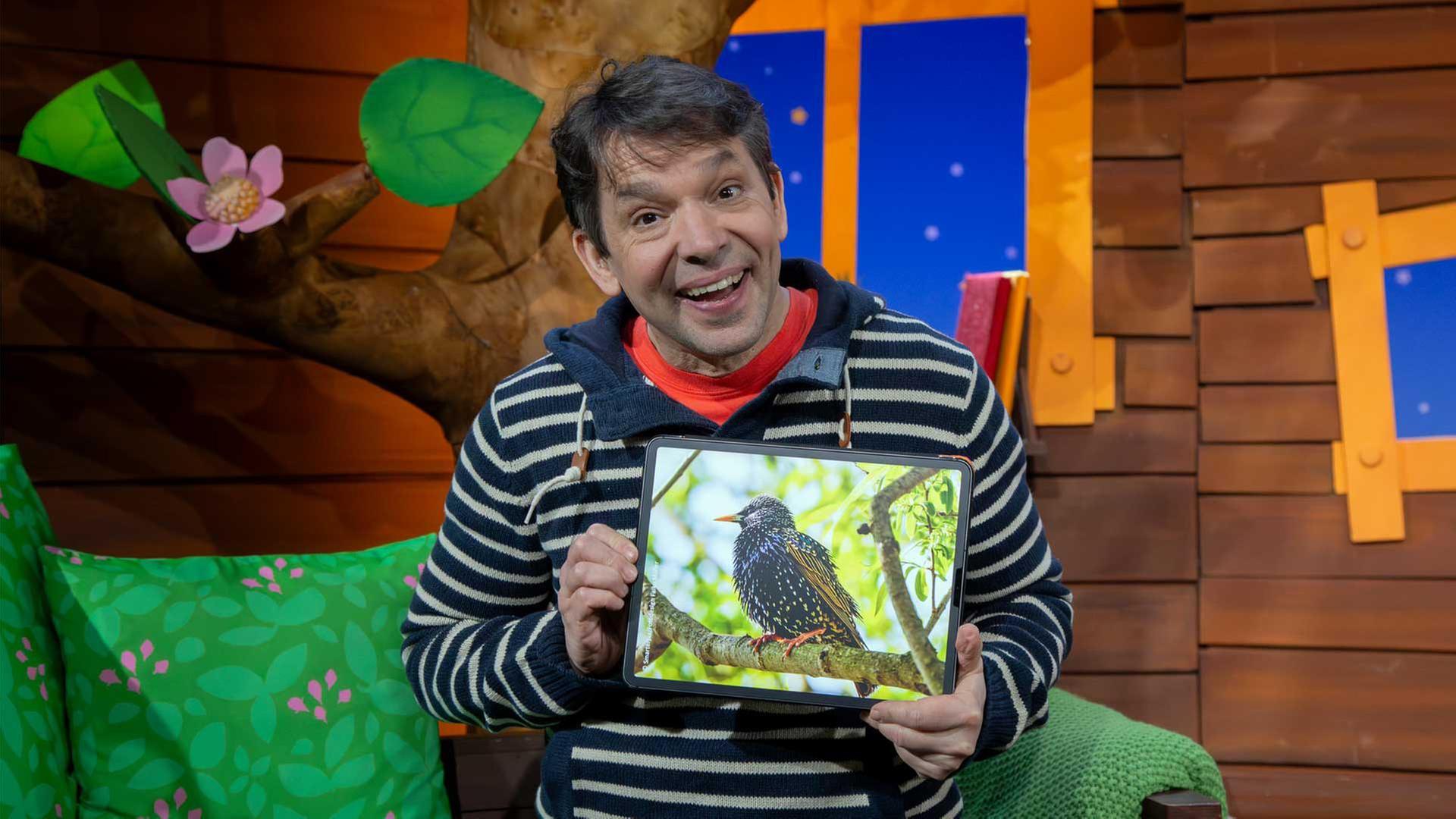 Amsel, Drossel, Fink und Star