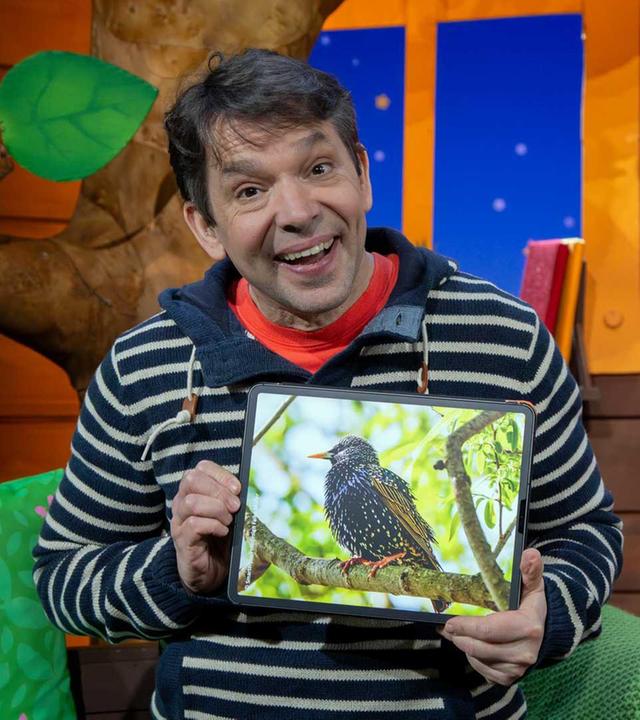 Amsel, Drossel, Fink und Star