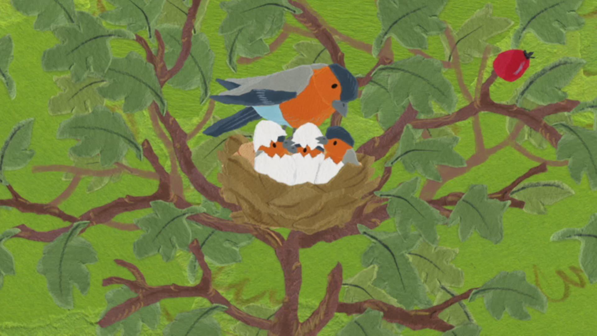 Anni und Kikaninchen entdecken das Vogelnest