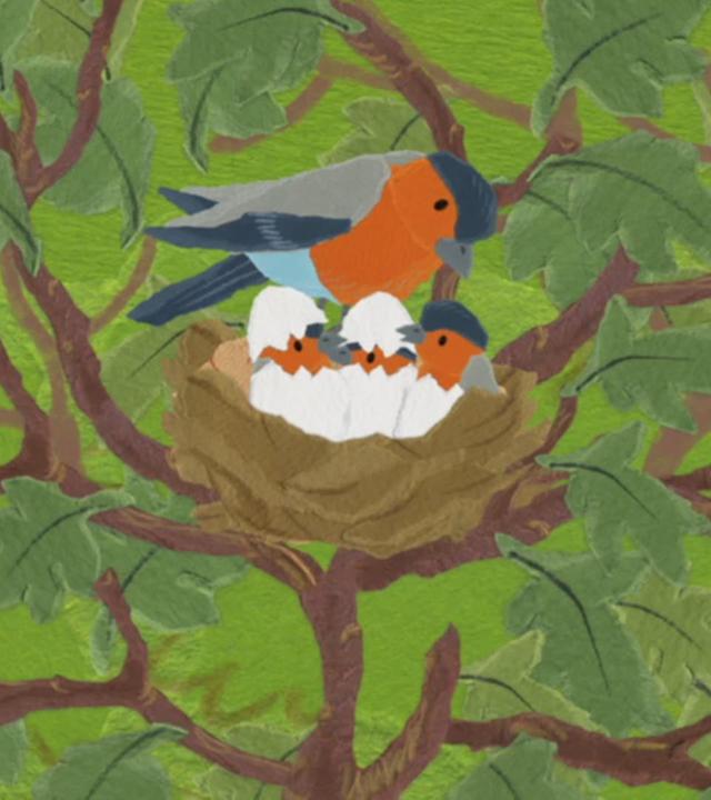Anni und Kikaninchen entdecken das Vogelnest