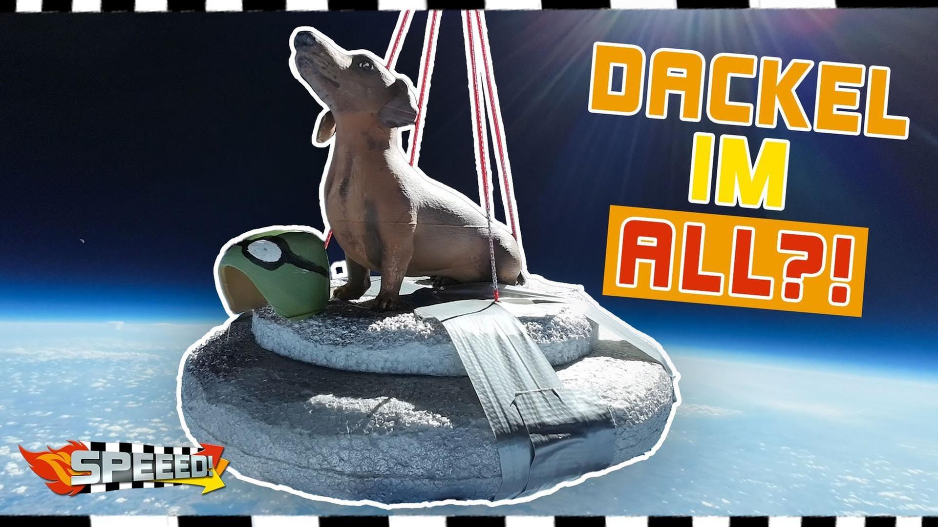 Ballon in die Stratosphäre - Sammy in Space