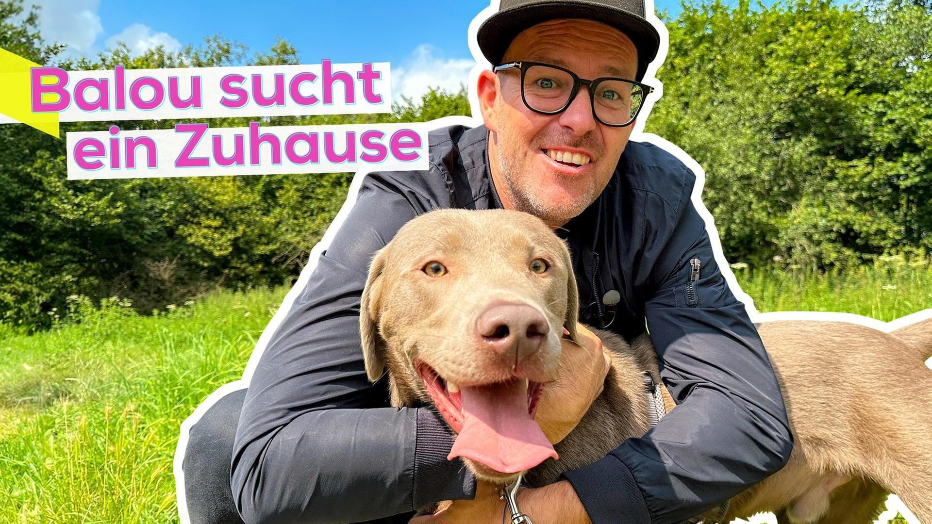 Bark Date: Ben sucht ein Zuhause für Balou