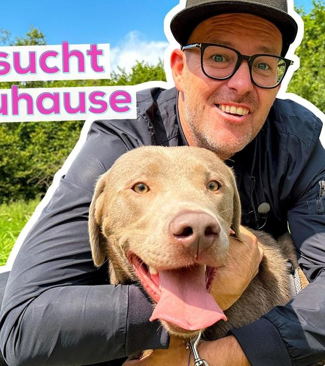 Bark Date: Ben sucht ein Zuhause für Balou