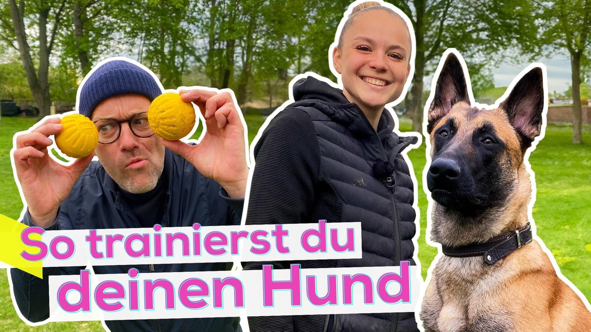 Ben trifft Dogfluencerin Vibadog