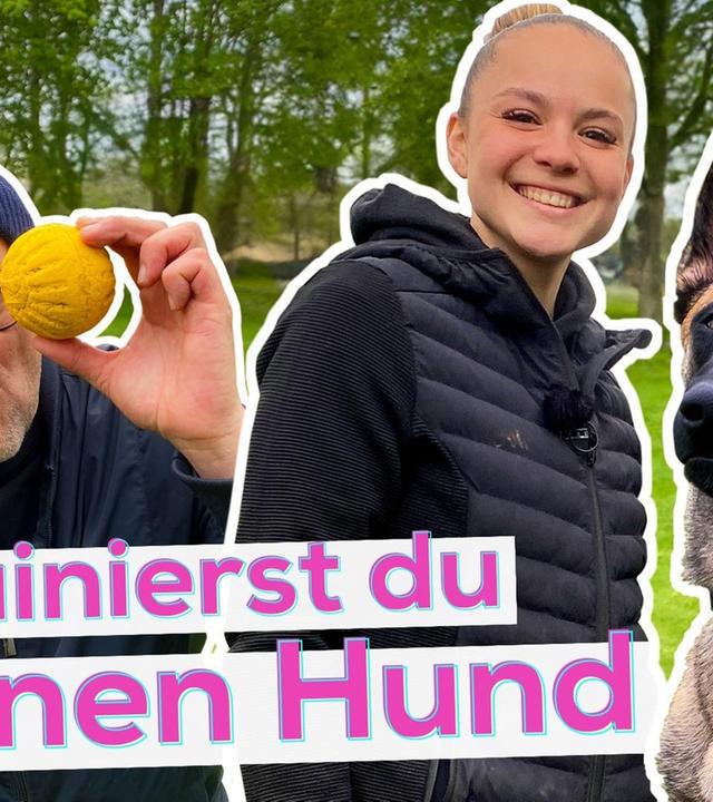 Ben trifft Dogfluencerin Vibadog