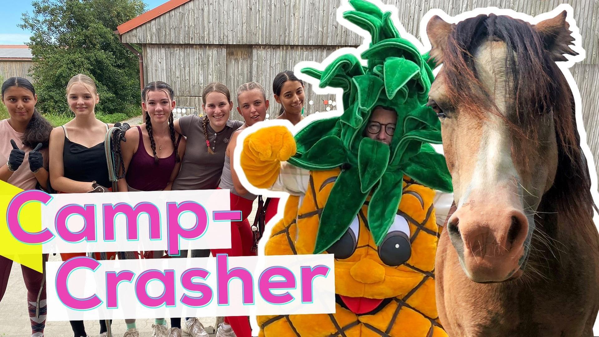 Camp-Crasher: Reiterhof