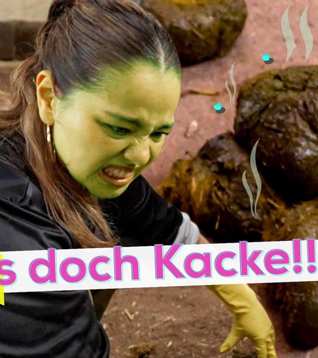 City Clash: Köln