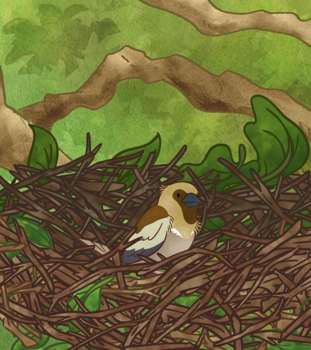 Das Nest