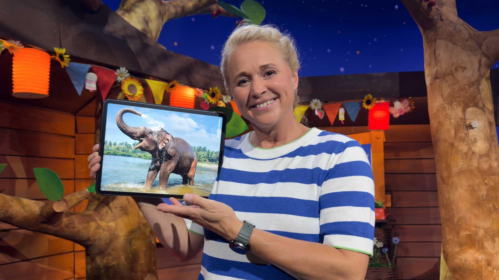 Der Elefant und sein Rüssel