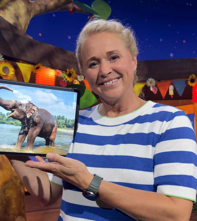 Der Elefant und sein Rüssel