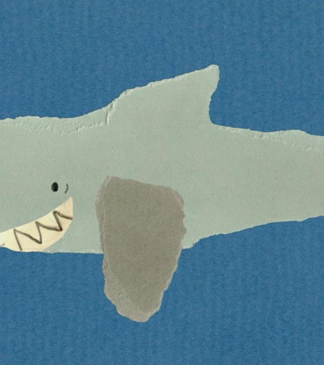 Der Hai braucht einen Zahnstocher