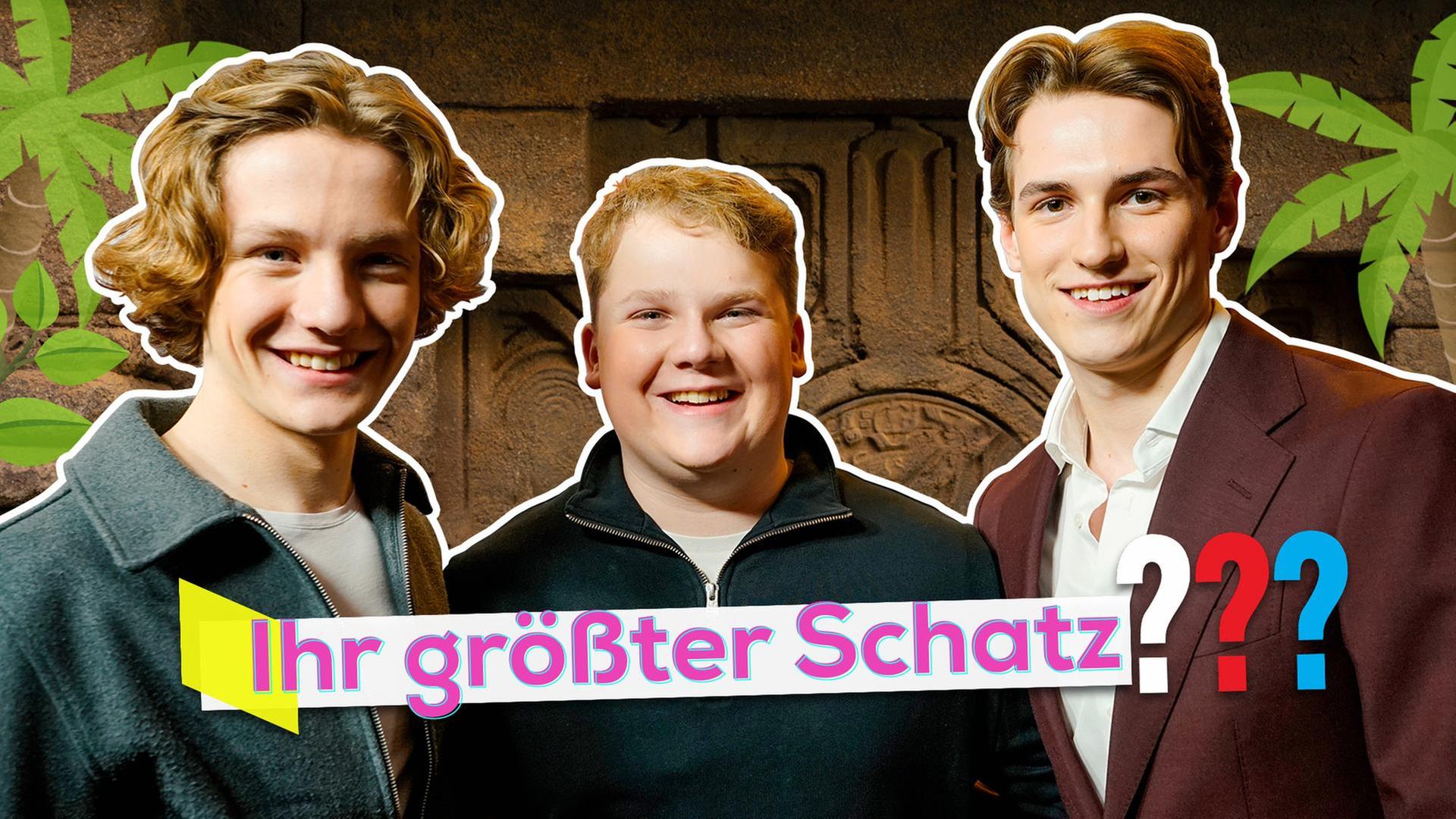 Die drei ??? allein im Museum