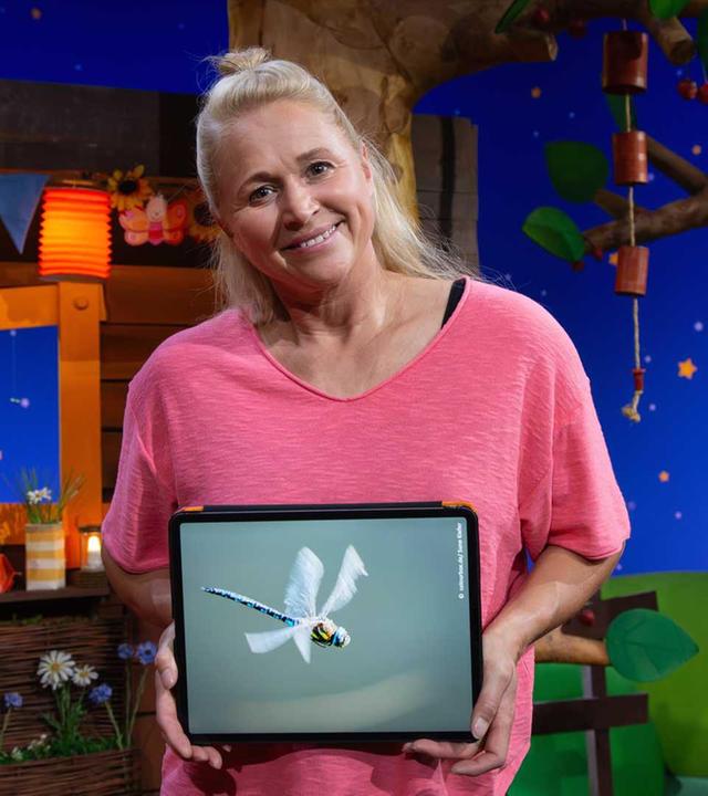 Die Libelle und der Hubschrauber