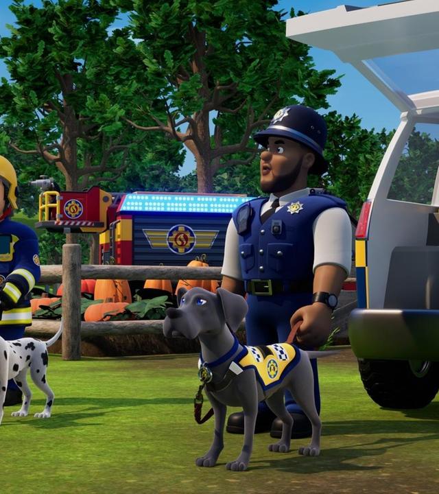 Die wilde Schafherde