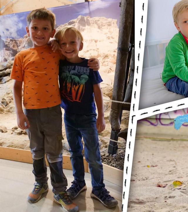 Dinos - Wir malen und basteln Dinosaurier