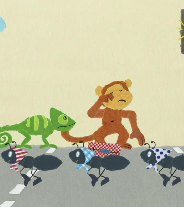 Ein Chamäleon als Ampel
