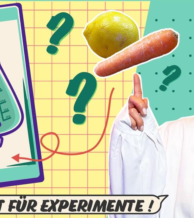 Experimente mit dem Handy