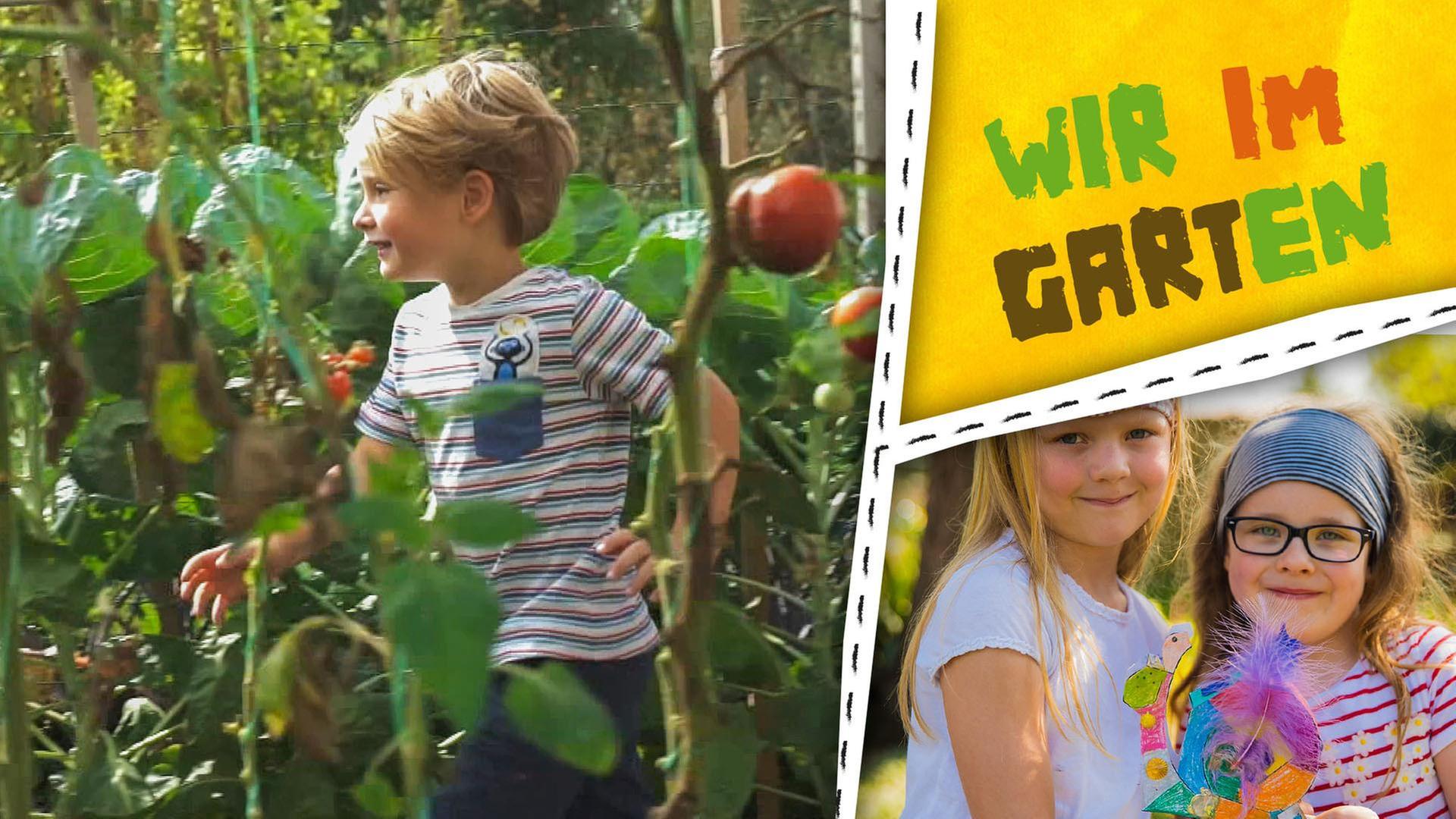 Garten, Schnecken und Igel - wir pflanzen, basteln und malen