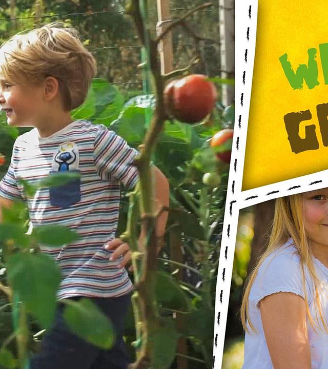 Garten, Schnecken und Igel - wir pflanzen, basteln und malen