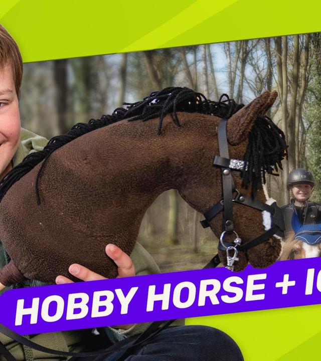 Hobby horsing: Hat Bruno ein Mädchen-Hobby?