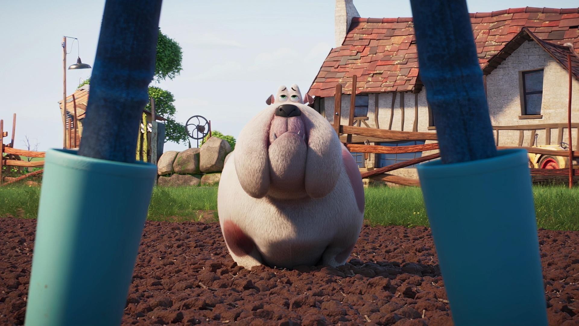 Hofhund Bertha