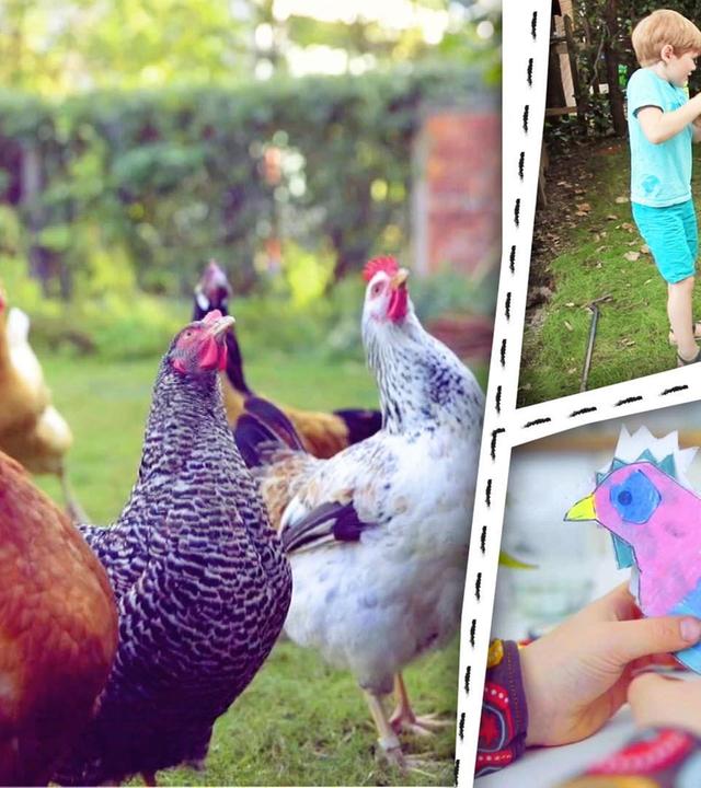 Hühnerstall bauen und Steckhuhn basteln