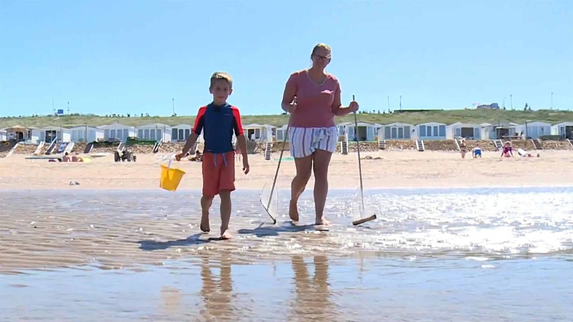 Hugo und das Strandhaus an der Nordsee