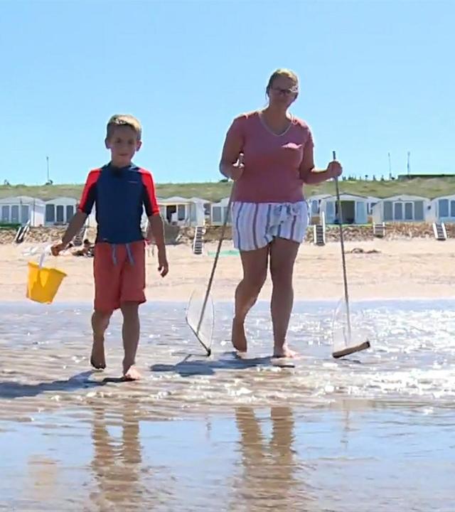 Hugo und das Strandhaus an der Nordsee