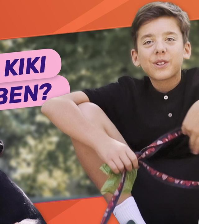 Hund aus dem Tierheim: Mixi testet es!