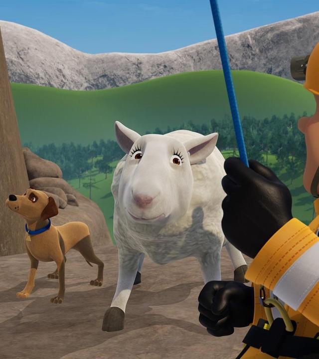 Hund gegen Schaf