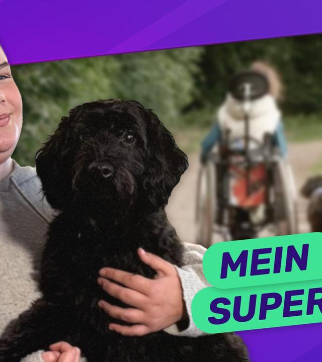 Hundetraining: Maje und ihr Assistenzhund
