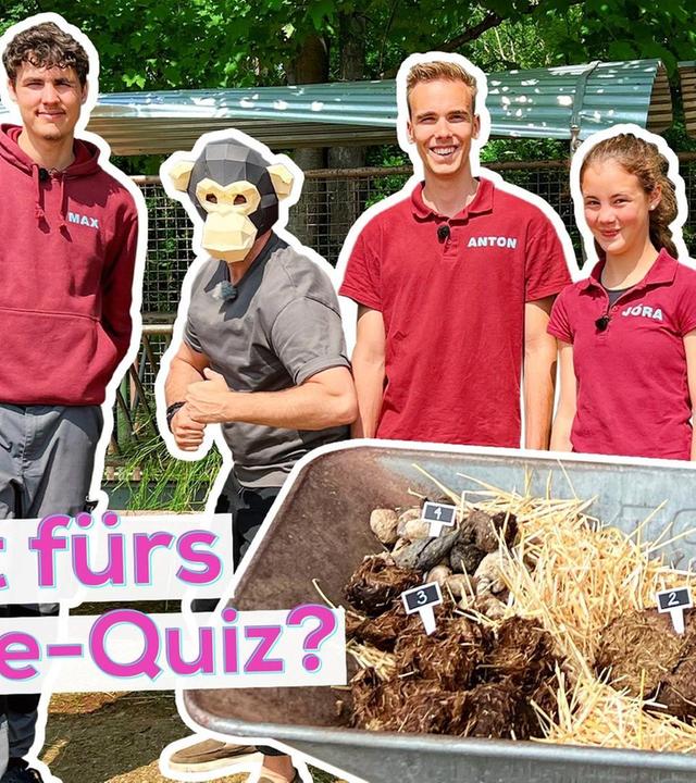 Im Zoo mit "Elefant, Tiger & Kids"