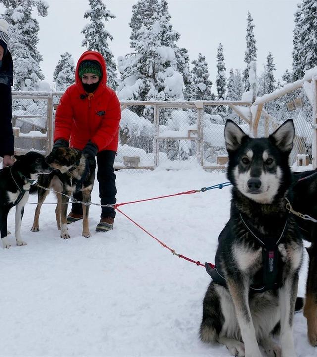 Jess und Ben in Lappland, Tag 2