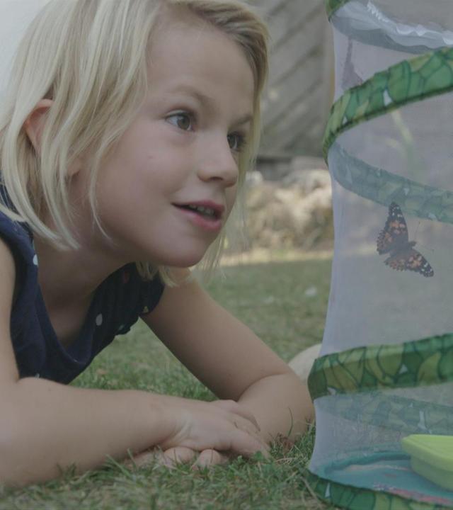 Joelle rettet Schmetterlinge