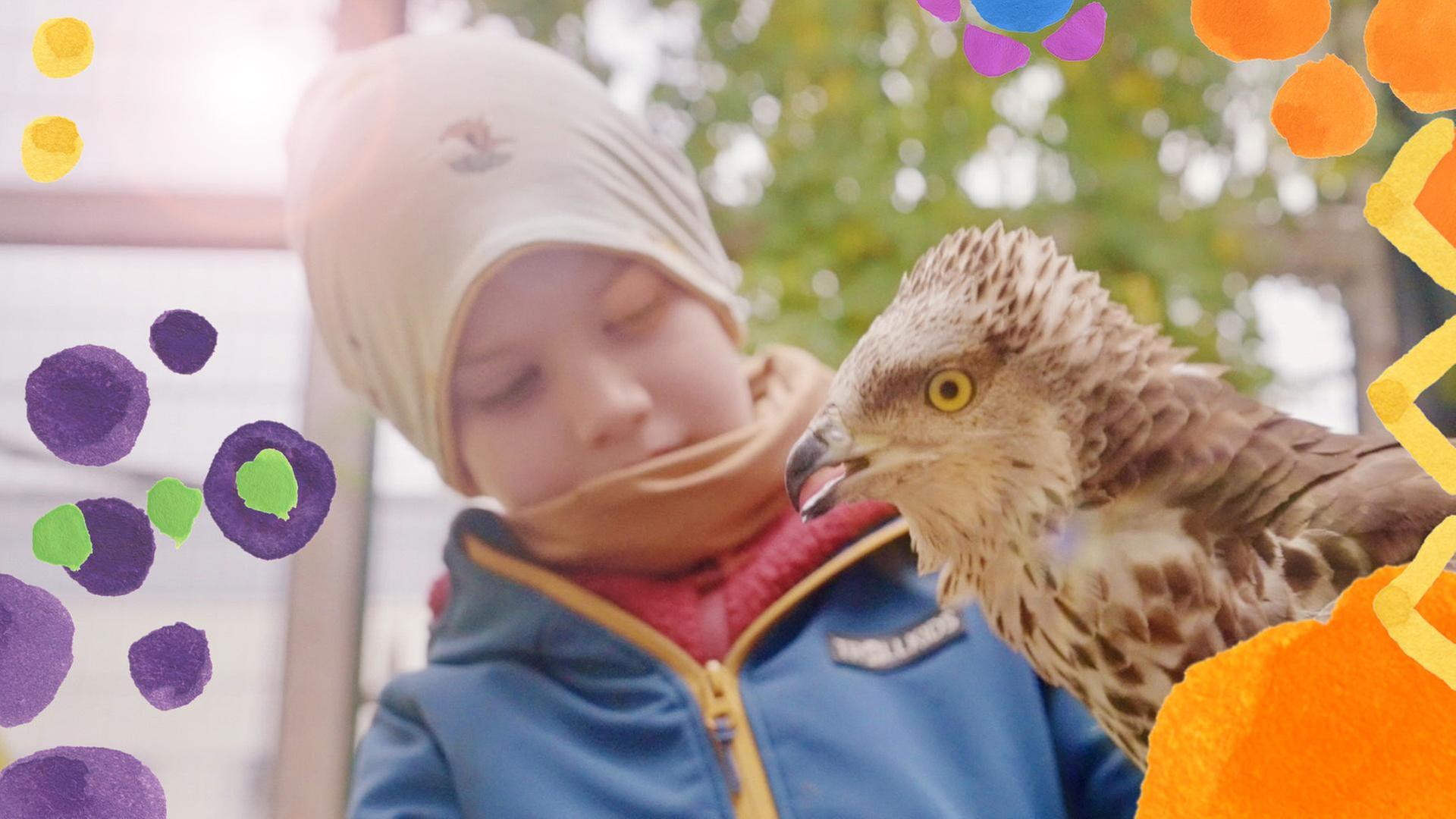 Jonas und die wilden Vögel