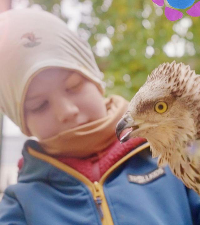 Jonas und die wilden Vögel