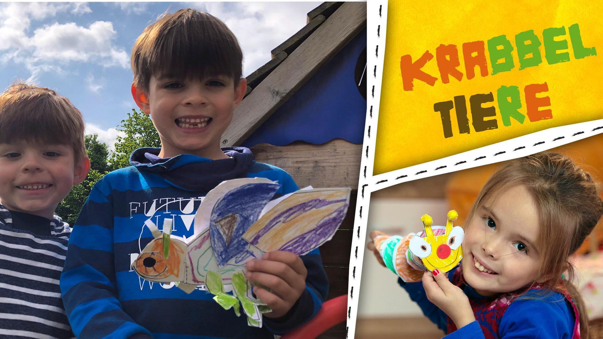 Käfer, Spinnen und Raupen - wir basteln Krabbel-Tiere