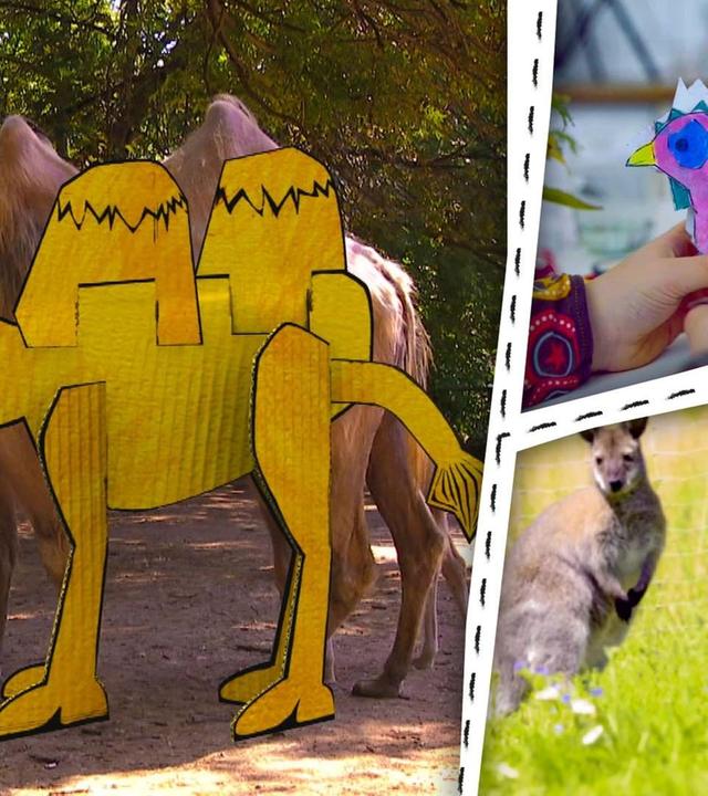 Känguru, Koala und Kamel - Wir basteln Tiere aus Australien