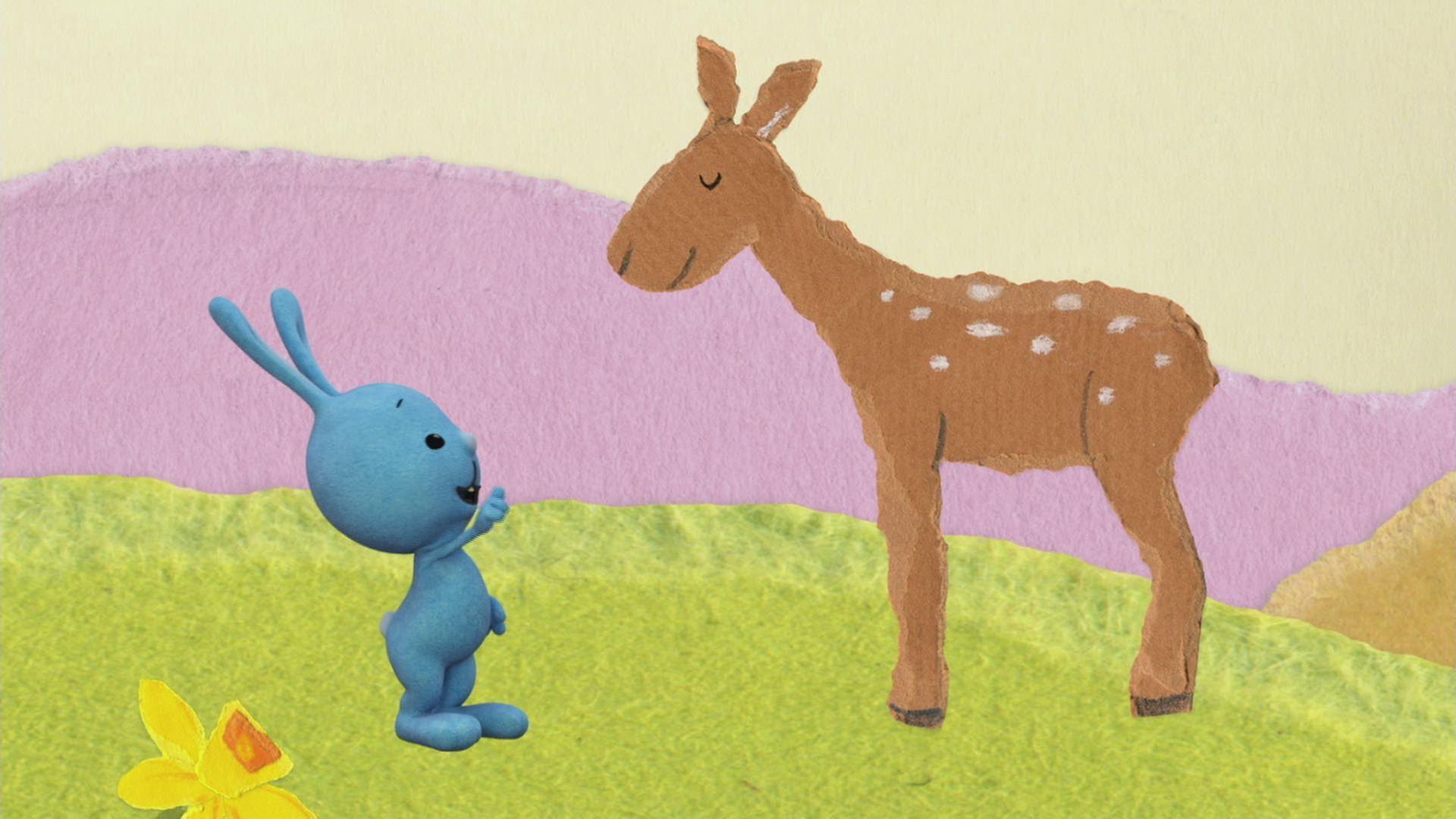 Kikaninchen und Christian beobachten eine Rehfamilie