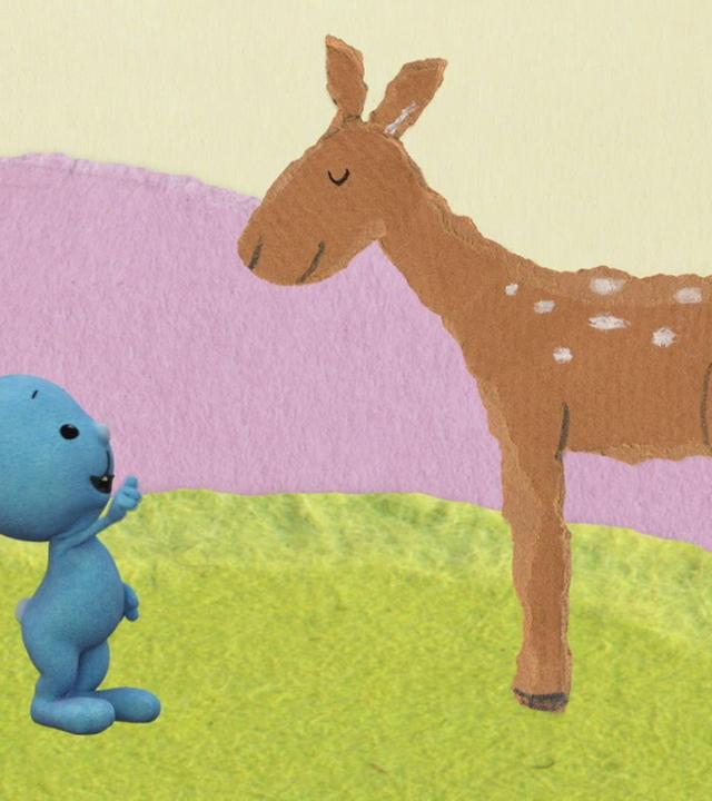 Kikaninchen und Christian beobachten eine Rehfamilie