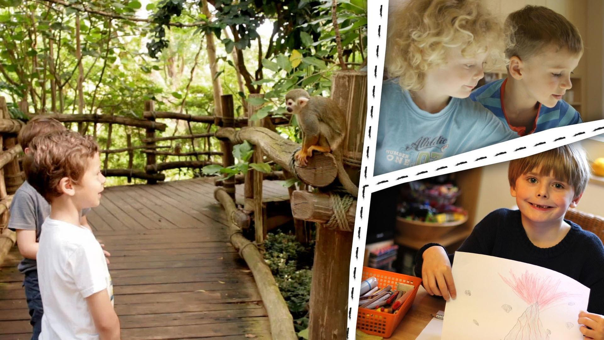 Lava, Dschungel und Vulkan - wir experimentieren und malen